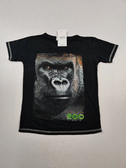 Buy online pre-used pre-loved 100% authentic & Original branded Craft Wear (BST-406) available in Pakistan. Top international brands avilable.