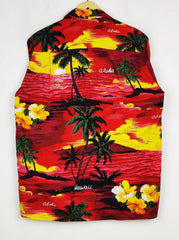 Ali Fashion (DS-1118)