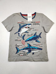 Buy online pre-used pre-loved 100% authentic & Original branded Nutmeg (GST-850) available in Pakistan. Top international brands avilable.