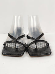 European Brand (H-41)