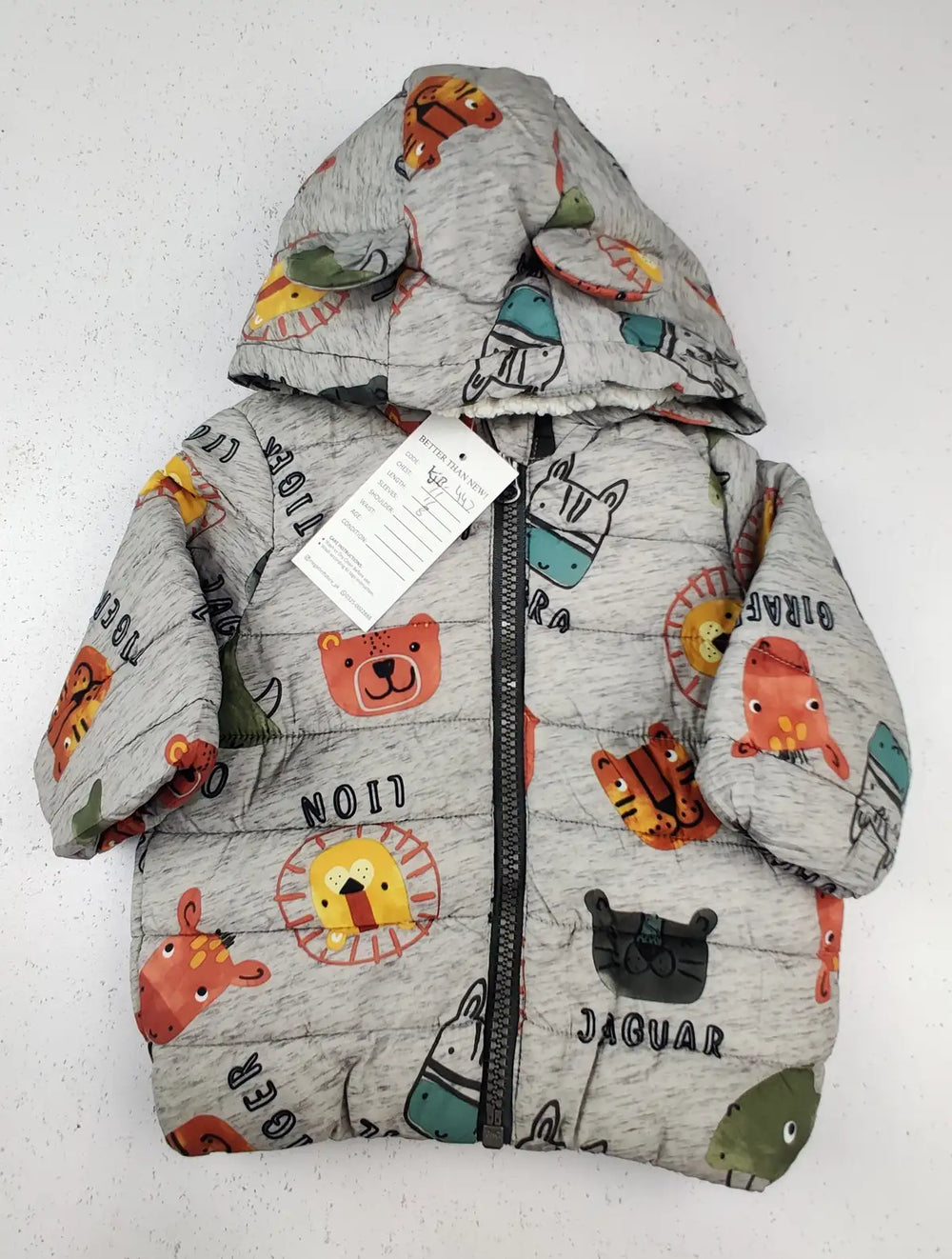 Buy online pre-used pre-loved 100% authentic & Original branded Fred & Flo (KJB-447) available in Pakistan. Top international brands avilable.