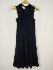 Dorothy Perkins (MF-4814)