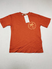 H&M (SBT-4331)