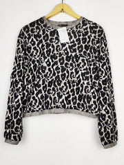 Zara (WT-12575)