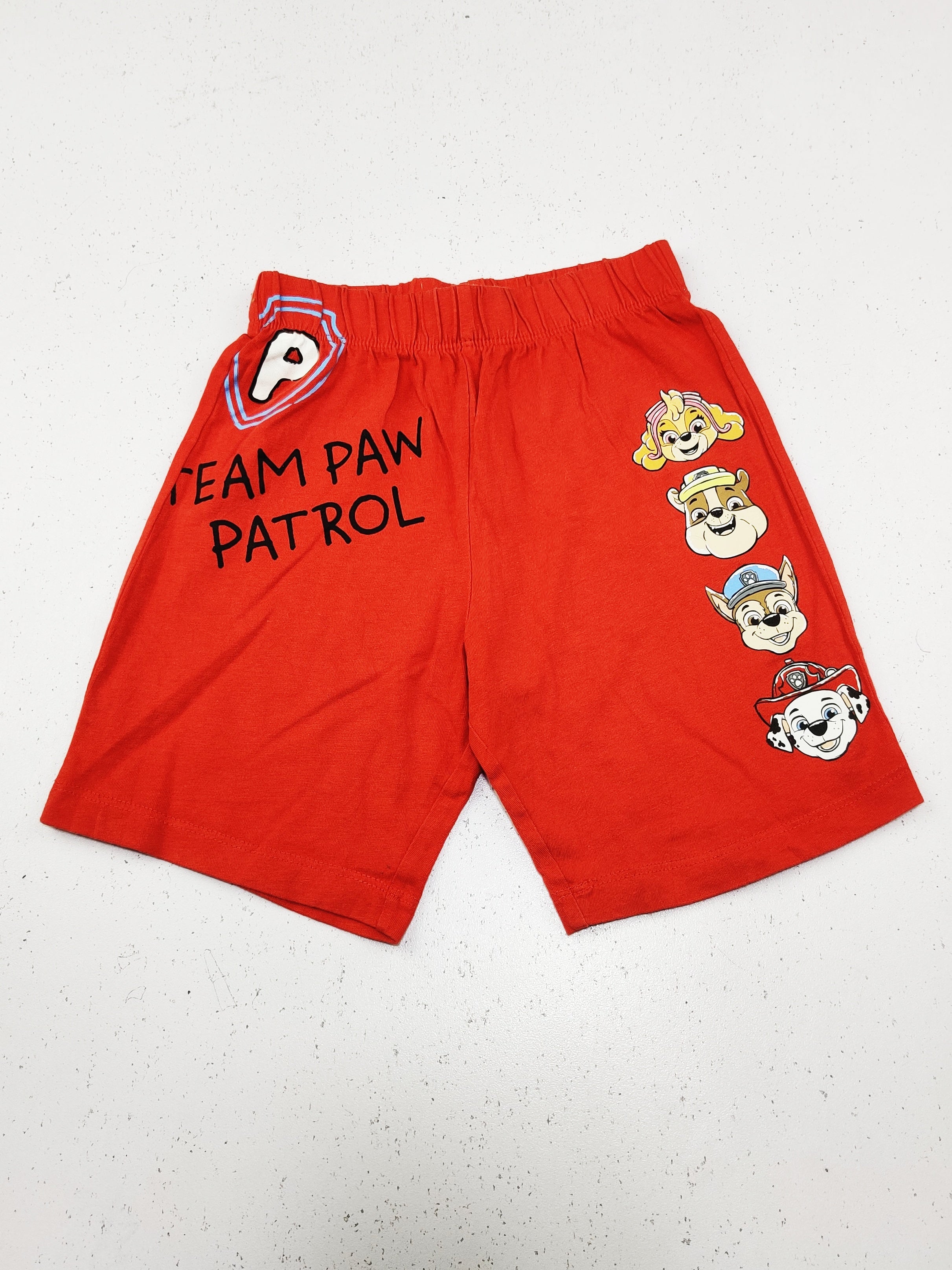 Paw Patrol (BB-1963)