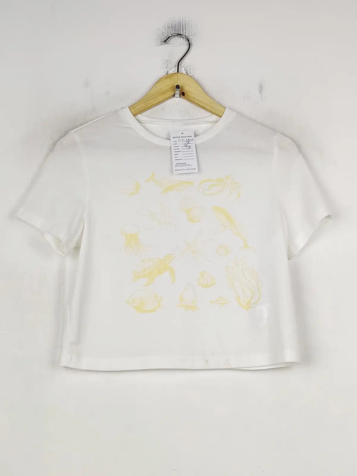Buy online pre-used pre-loved 100% authentic & Original branded Shein (CT-3934) available in Pakistan. Top international brands avilable.