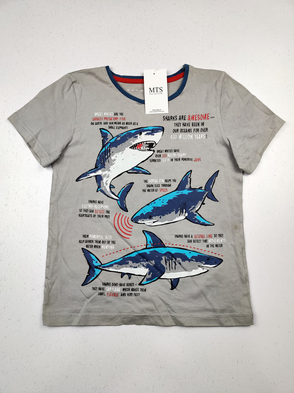 Buy online pre-used pre-loved 100% authentic & Original branded Nutmeg (GST-850) available in Pakistan. Top international brands avilable.