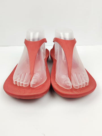 Crocs (H-186)