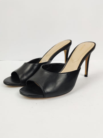 Aldo (H-32)