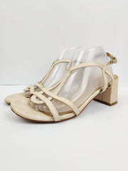 Linea Loresi (H-73)