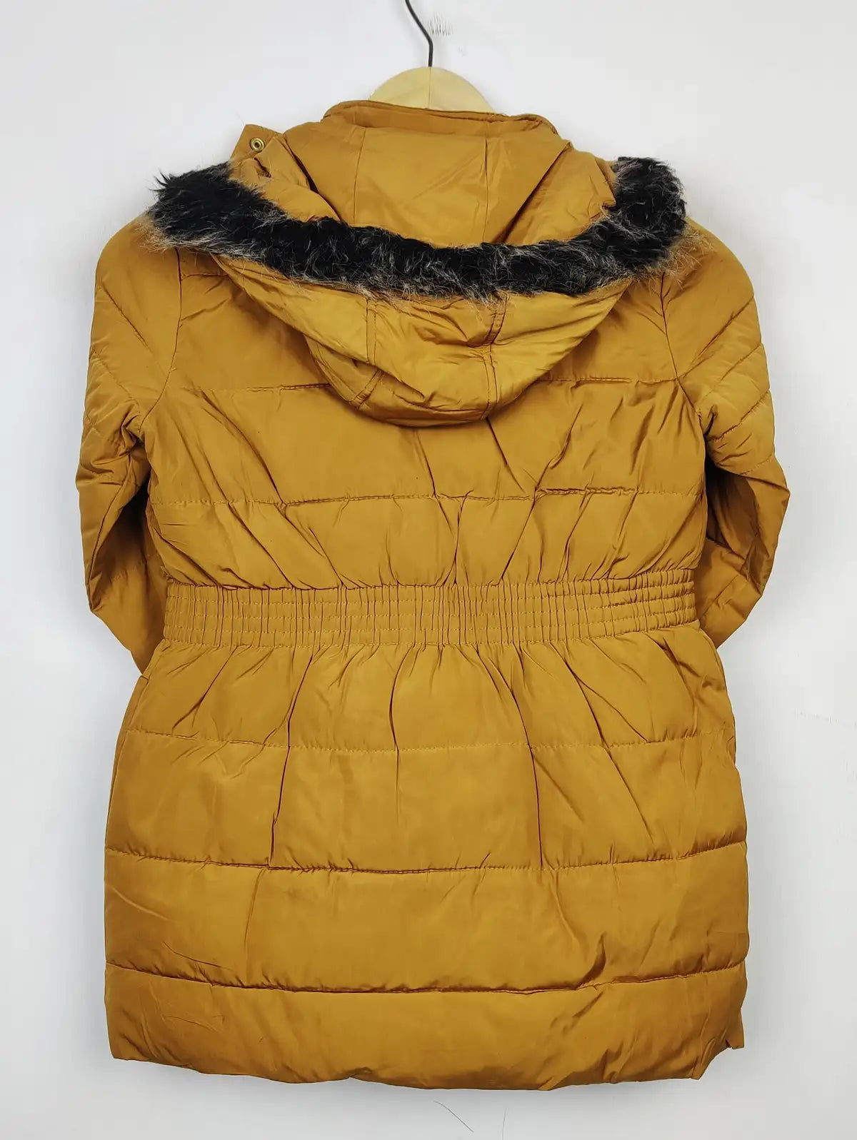Nutmeg (JKT-810)