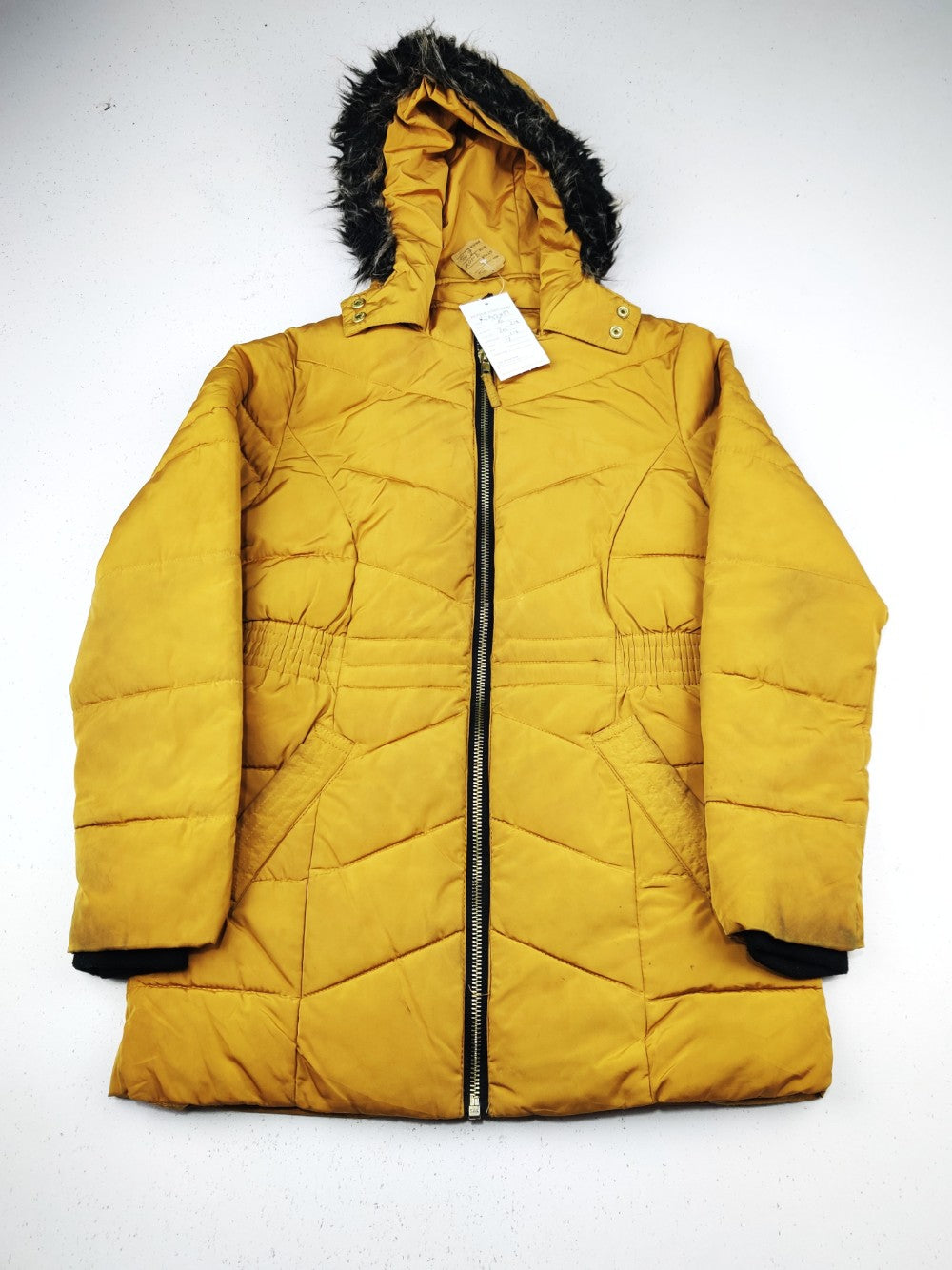 Nutmeg (KJG-12417)