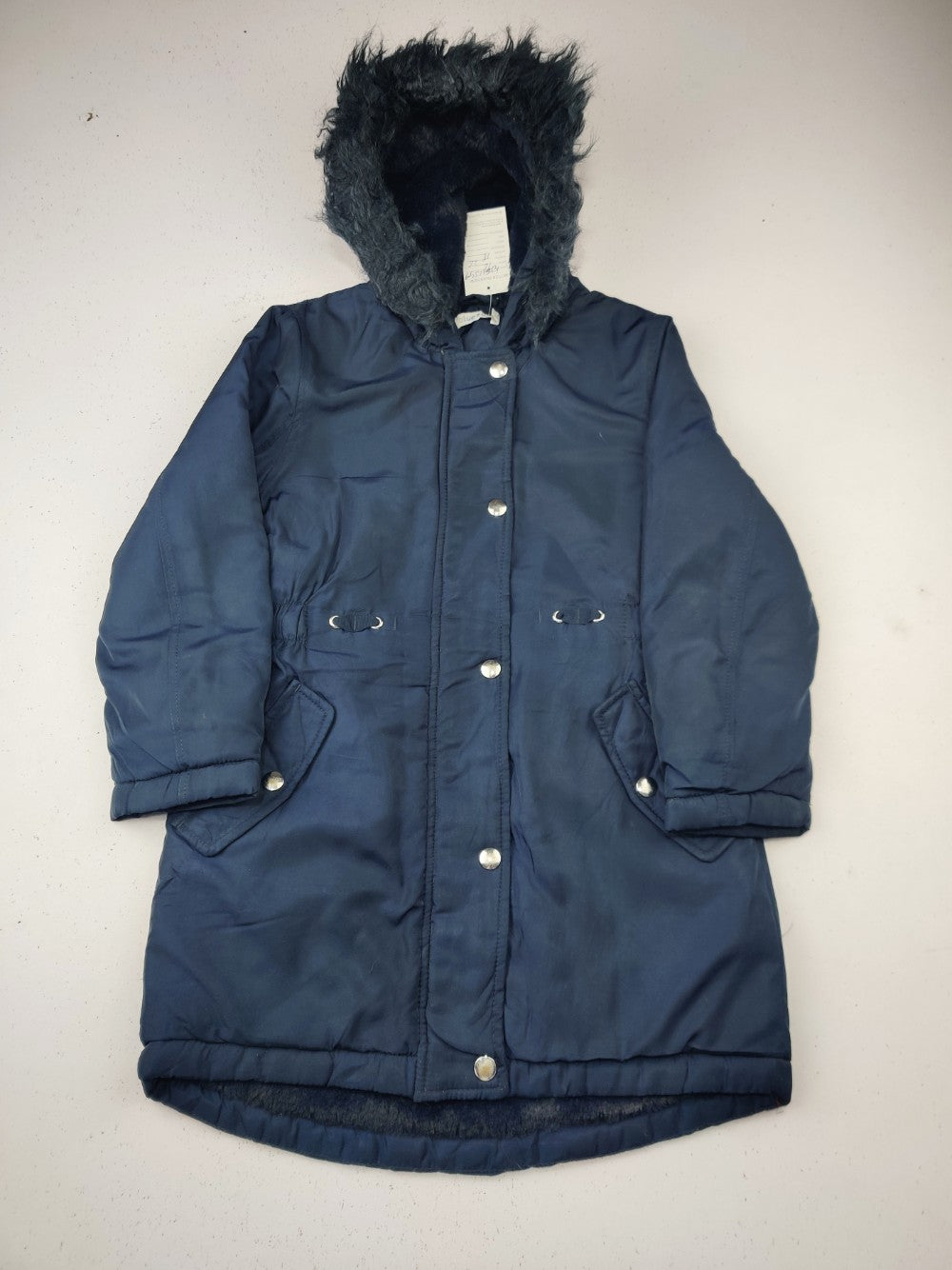 Bluezoo (KJG-12549)