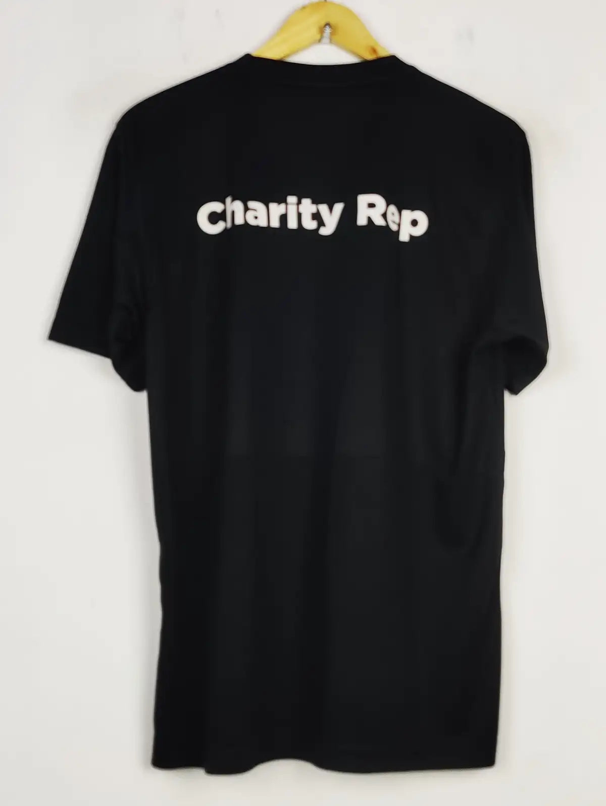 Sand Lizard (MA-363)