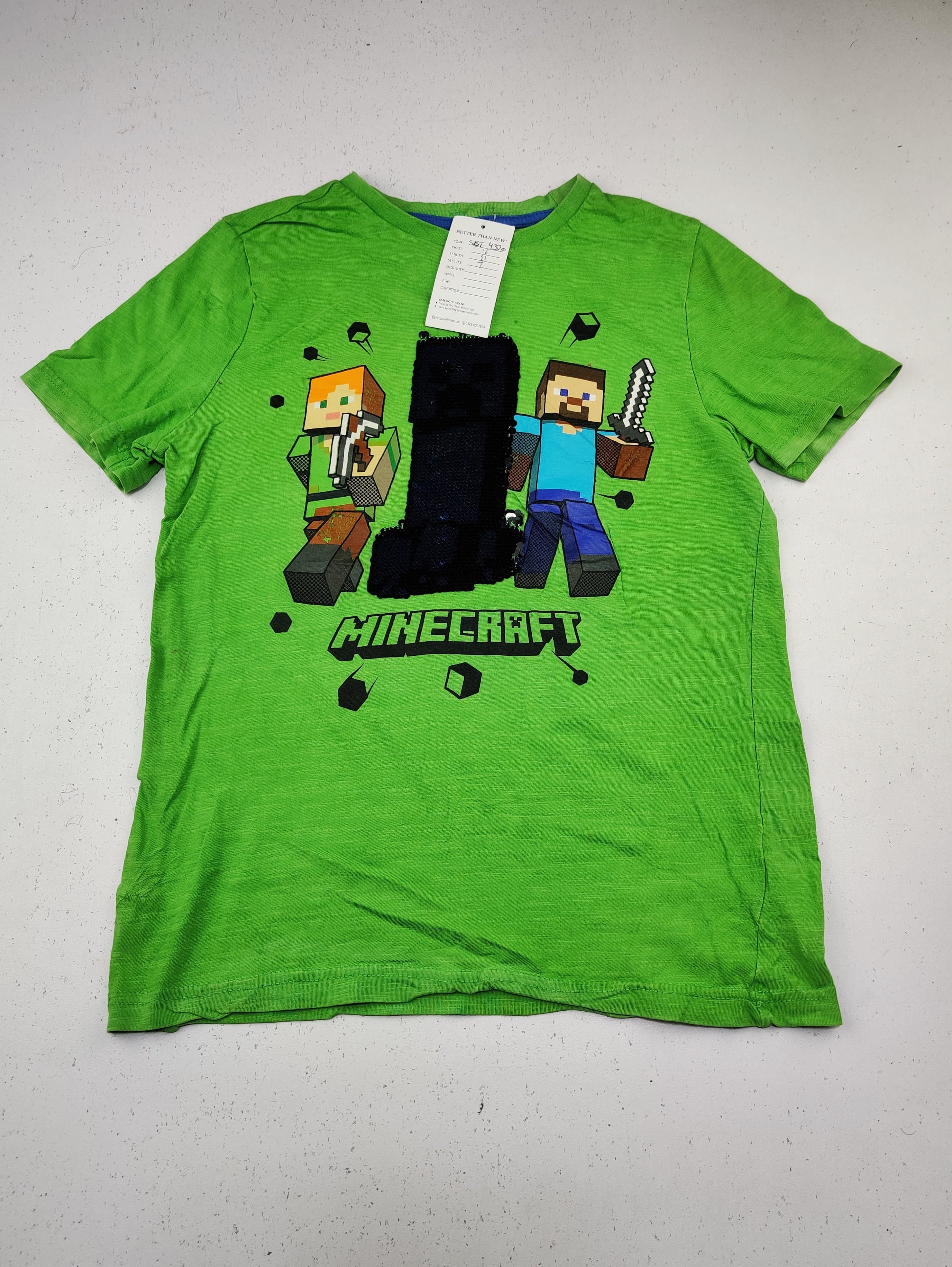Minecraft (SBT-4320)