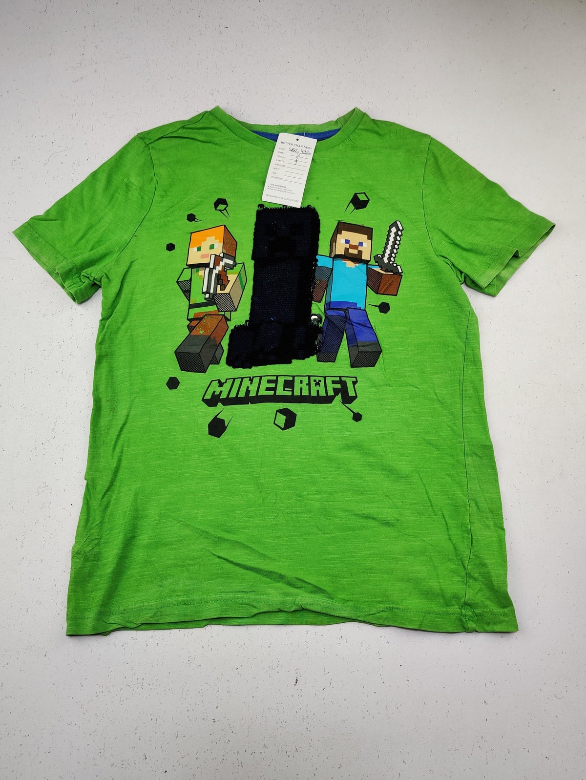 Minecraft (SBT-4320)