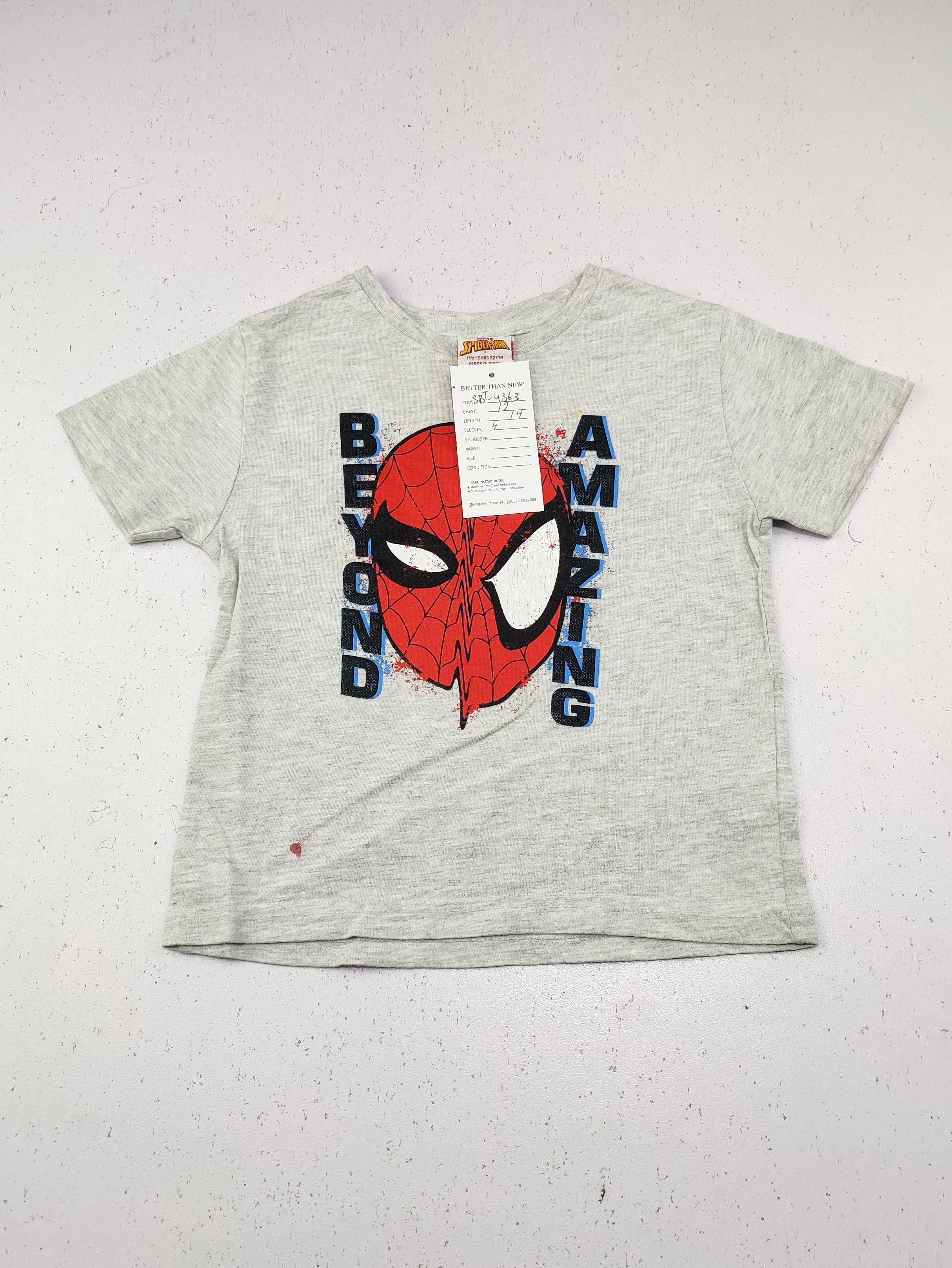 Spider Man (SBT-4363)