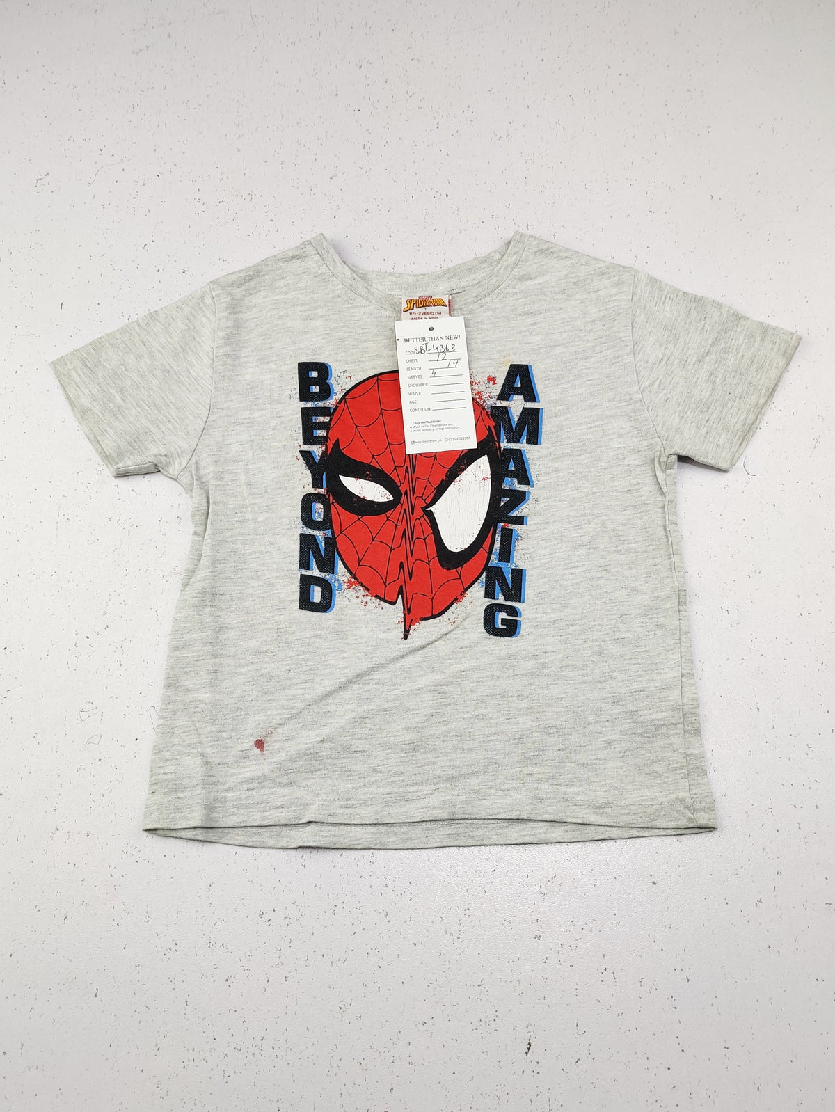 Spider Man (SBT-4363)