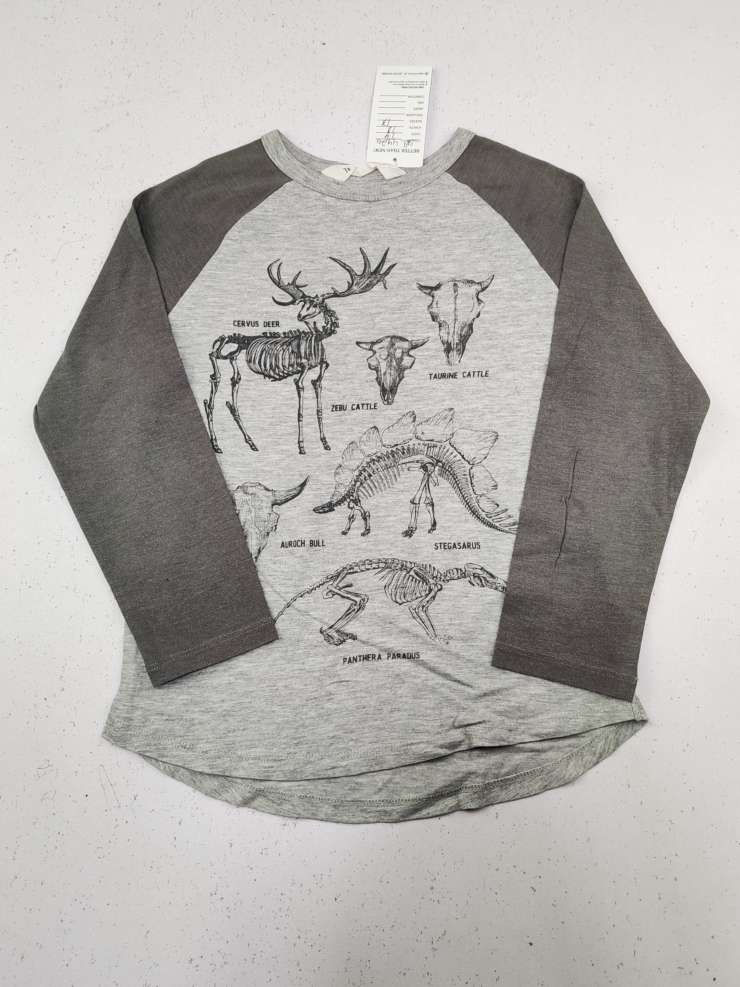 H&M (SBT-4420)