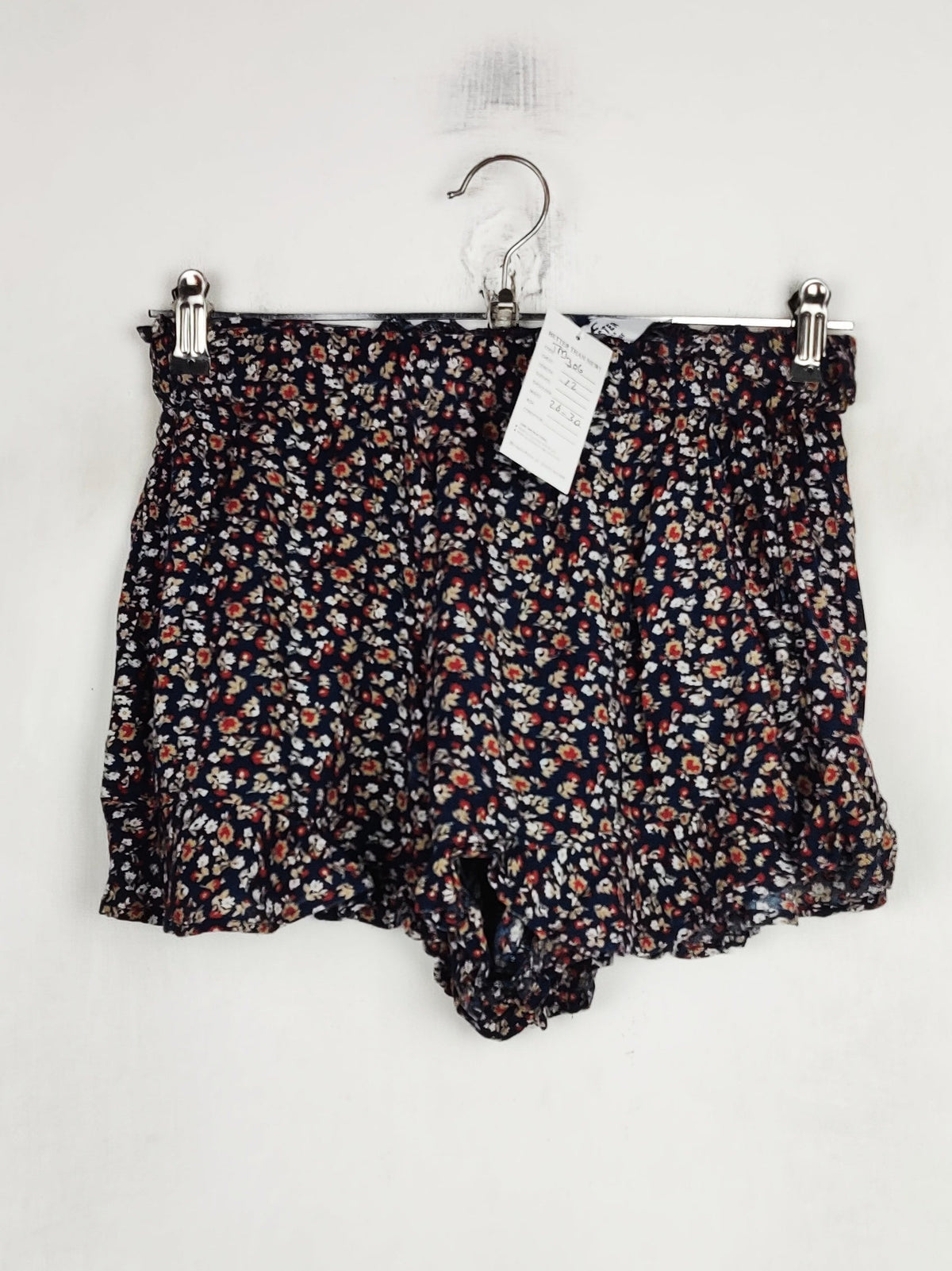 Hollister (TM-306)