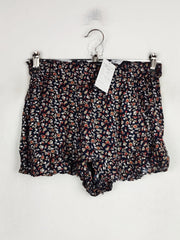 Hollister (TM-306)