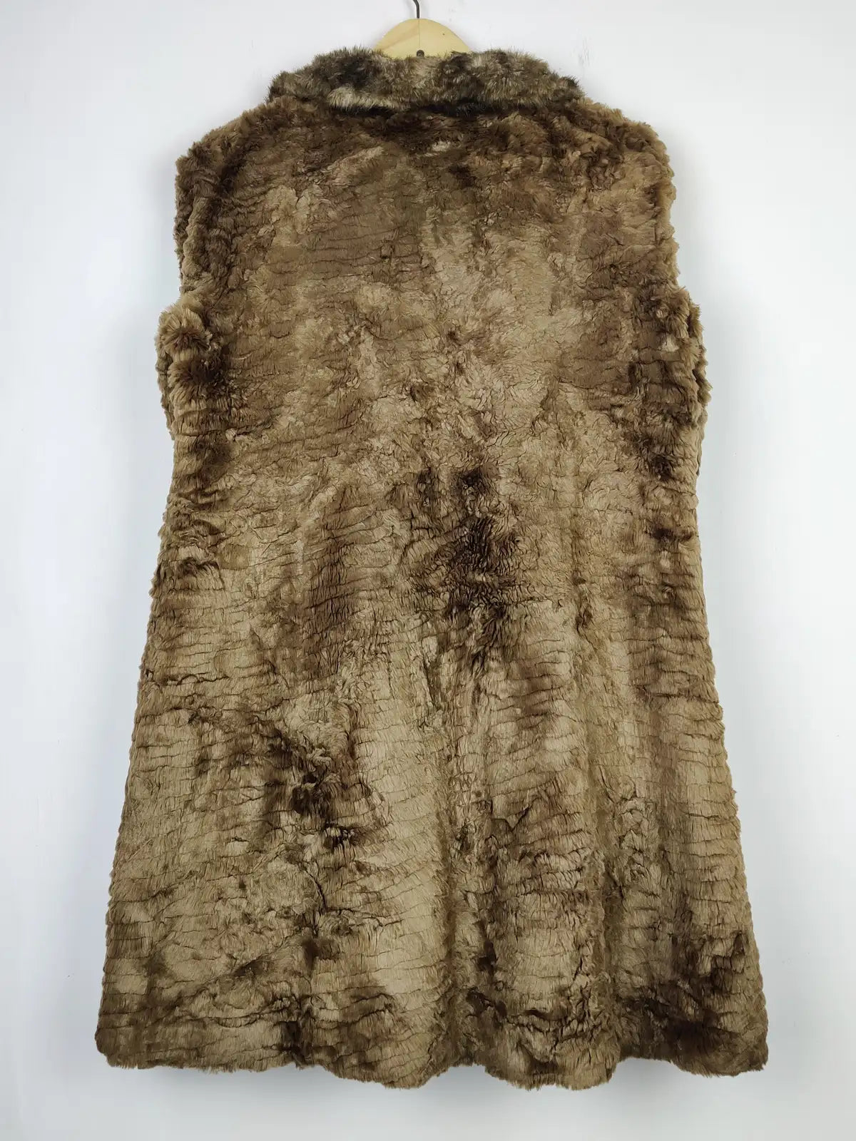 Papillon (WC-3802)