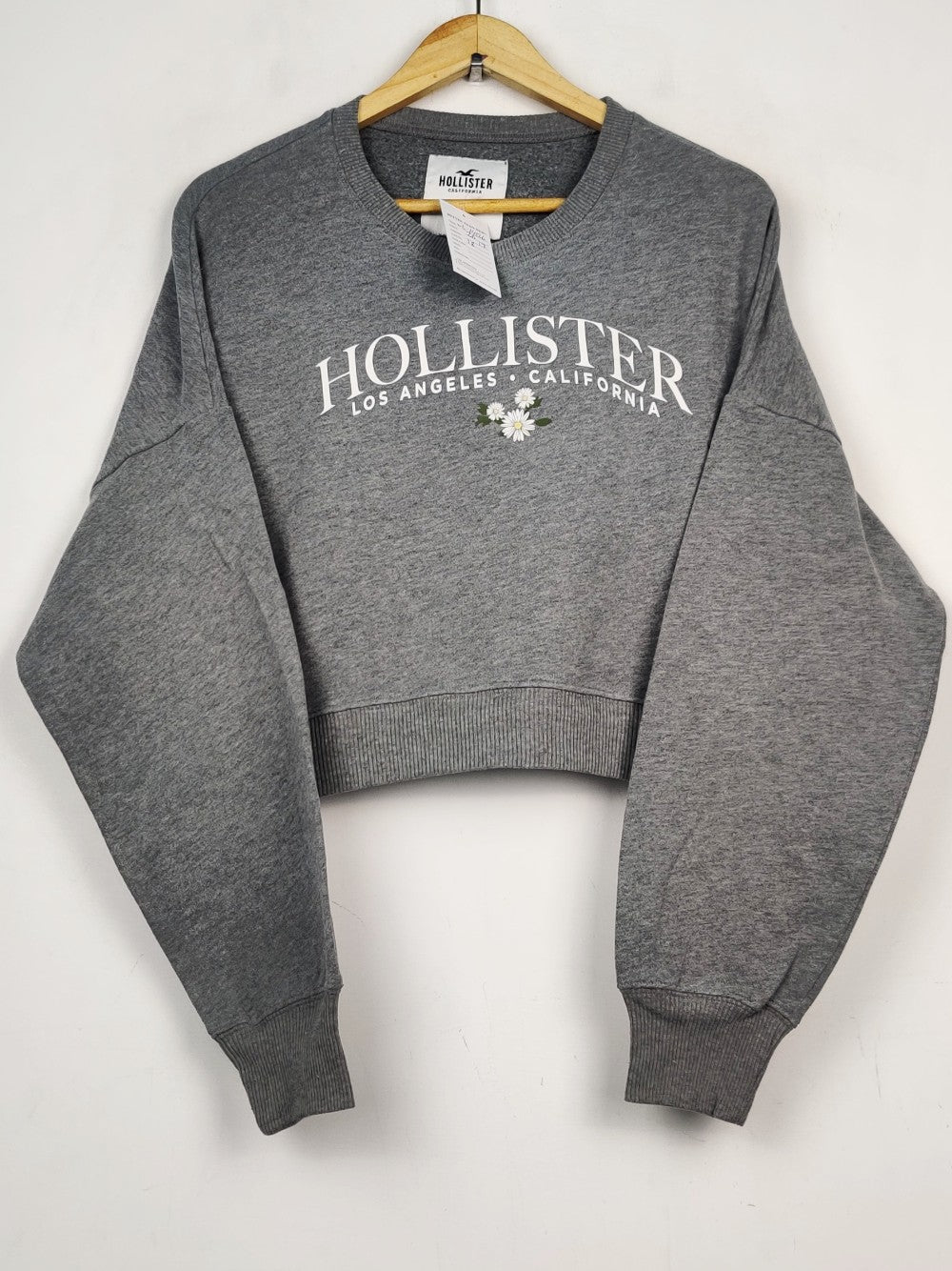 Hollister (WT-14226)